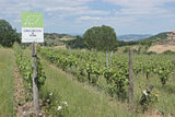 Grechetto di Todi DOC 2023 BIO