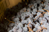 Amarone Classico DOCG 2020