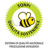 San Bastian Barbera d’Asti 2022 DOCG