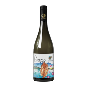 Phronesis Zibibbo IGT Terre Siciliane 2024